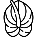 anthurium 7533889 (1)