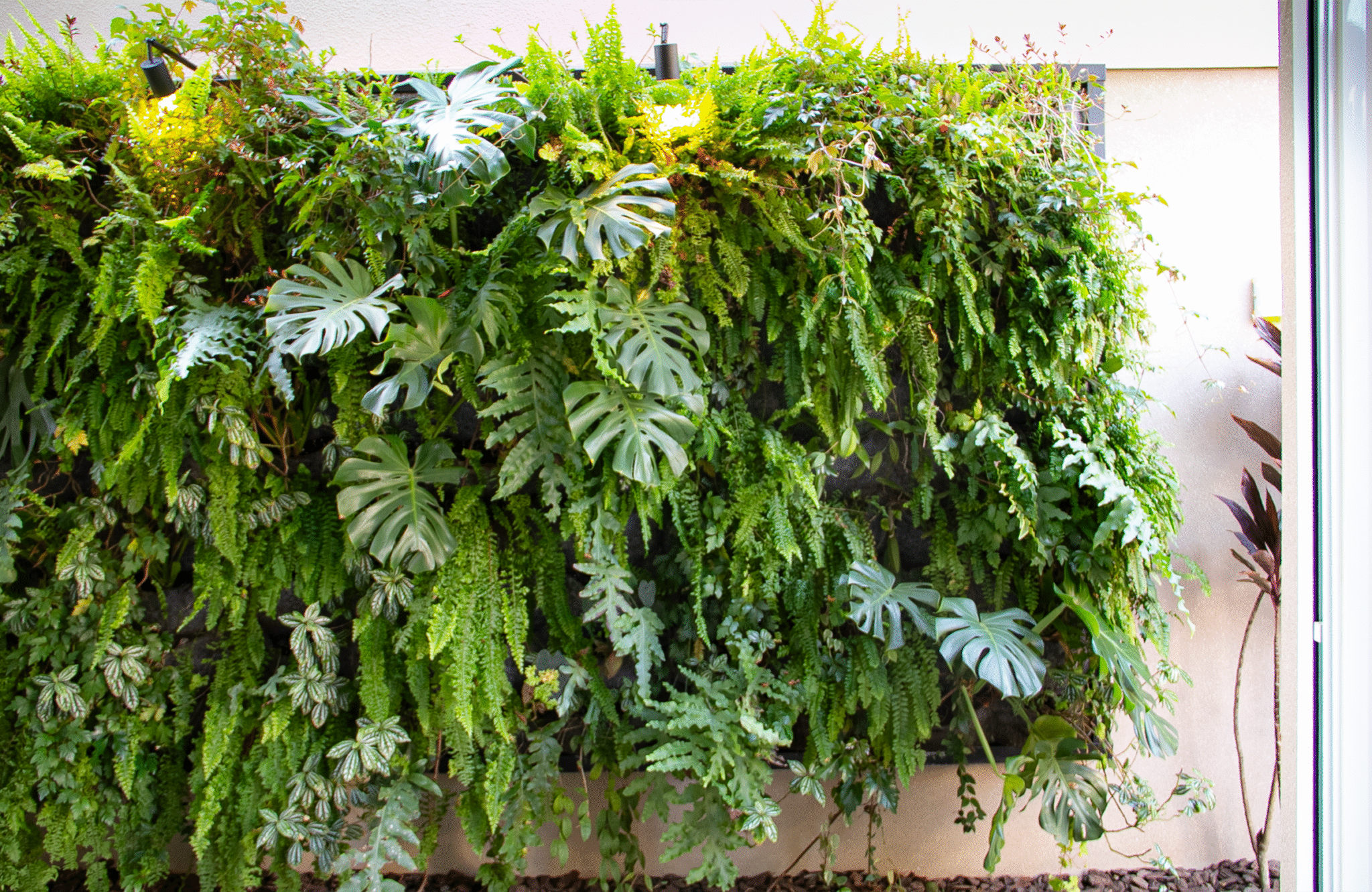 feltgarden patriciamalinipaisagismo